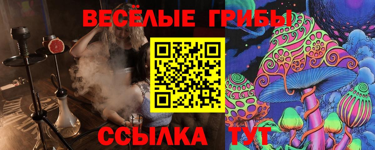 Псилоцибиновые грибы Psilocybine cubensis  сколько стоит  Киселёвск  Вход с VPN  Псилоцибиновые грибы мухоморы 