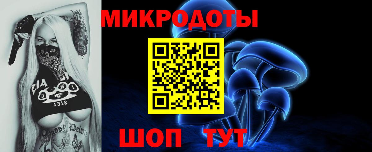 Псилоцибиновые грибы мицелий Киселёвск